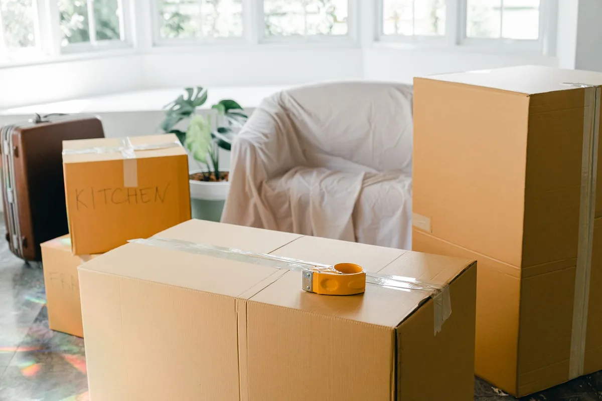 Hoarding Cleanup in Cannon Falls, MN